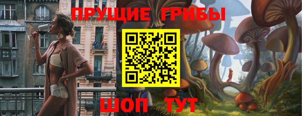 Галлюциногенные грибы прущие грибы Гусиноозёрск