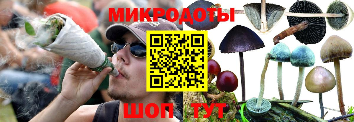 Псилоцибиновые грибы GOLDEN TEACHER  Вход с VPN  Гусиноозёрск 